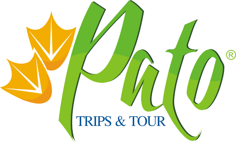 Logo Pato Trips OFICIAL sem fundo